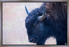 Load image into Gallery viewer, Coming Of Age
