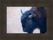 Load image into Gallery viewer, Coming Of Age
