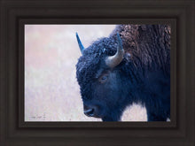 Load image into Gallery viewer, Coming Of Age
