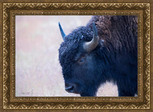 Load image into Gallery viewer, Coming Of Age
