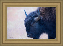 Load image into Gallery viewer, Coming Of Age

