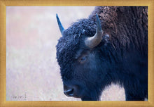 Load image into Gallery viewer, Coming Of Age
