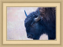 Load image into Gallery viewer, Coming Of Age
