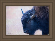 Load image into Gallery viewer, Coming Of Age
