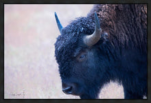 Load image into Gallery viewer, Coming Of Age
