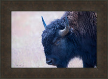 Load image into Gallery viewer, Coming Of Age
