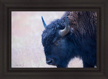 Load image into Gallery viewer, Coming Of Age
