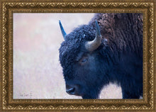 Load image into Gallery viewer, Coming Of Age
