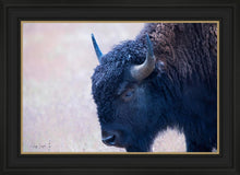 Load image into Gallery viewer, Coming Of Age
