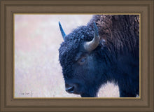 Load image into Gallery viewer, Coming Of Age
