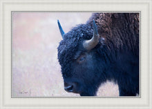 Load image into Gallery viewer, Coming Of Age
