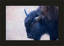 Load image into Gallery viewer, Coming Of Age
