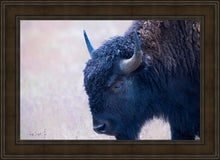 Load image into Gallery viewer, Coming Of Age
