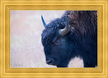 Load image into Gallery viewer, Coming Of Age
