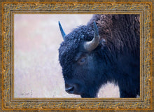 Load image into Gallery viewer, Coming Of Age
