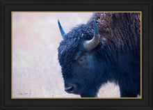 Load image into Gallery viewer, Coming Of Age
