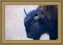 Load image into Gallery viewer, Coming Of Age
