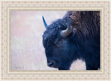 Load image into Gallery viewer, Coming Of Age
