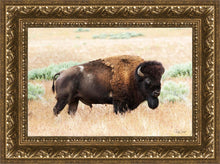 Load image into Gallery viewer, King of the Desert
