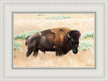 Load image into Gallery viewer, King of the Desert
