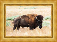 Load image into Gallery viewer, King of the Desert
