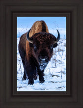 Load image into Gallery viewer, Buddy
