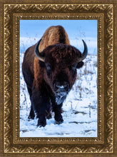 Load image into Gallery viewer, Buddy
