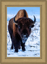 Load image into Gallery viewer, Buddy

