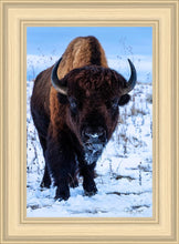 Load image into Gallery viewer, Buddy
