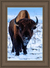 Load image into Gallery viewer, Buddy
