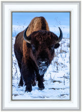 Load image into Gallery viewer, Buddy
