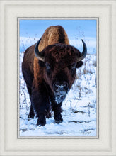 Load image into Gallery viewer, Buddy
