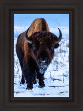 Load image into Gallery viewer, Buddy
