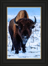Load image into Gallery viewer, Buddy
