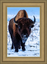 Load image into Gallery viewer, Buddy
