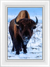 Load image into Gallery viewer, Buddy
