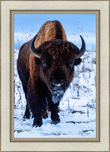 Load image into Gallery viewer, Buddy

