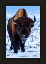 Load image into Gallery viewer, Buddy
