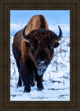 Load image into Gallery viewer, Buddy
