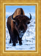 Load image into Gallery viewer, Buddy
