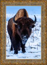 Load image into Gallery viewer, Buddy
