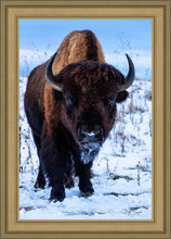 Load image into Gallery viewer, Buddy
