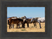 Load image into Gallery viewer, Mingle
