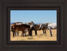 Load image into Gallery viewer, Mingle
