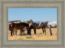 Load image into Gallery viewer, Mingle
