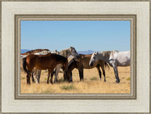 Load image into Gallery viewer, Mingle
