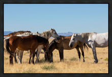 Load image into Gallery viewer, Mingle
