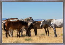 Load image into Gallery viewer, Mingle
