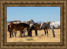 Load image into Gallery viewer, Mingle
