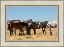 Load image into Gallery viewer, Mingle
